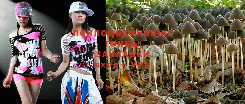 Галлюциногенные грибы MAGIC MUSHROOMS  где продают   Приморско-Ахтарск 