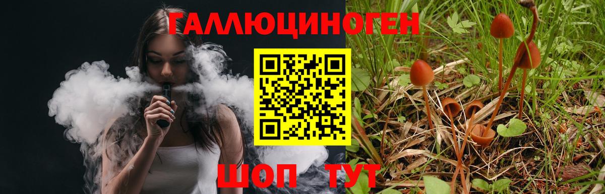 Галлюциногенные грибы Psilocybine cubensis  Вход с VPN  продажа наркотиков  Галлюциногенные грибы Cubensis  Приморско-Ахтарск 