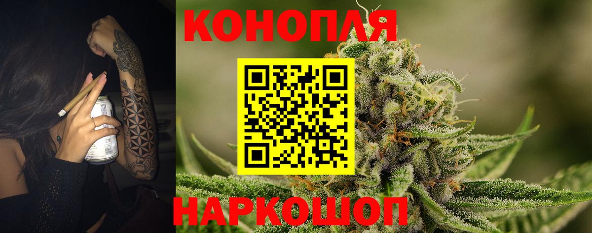 Каннабис планчик Приморско-Ахтарск